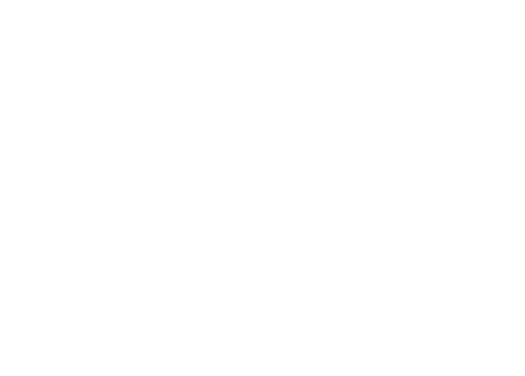 logo footer
